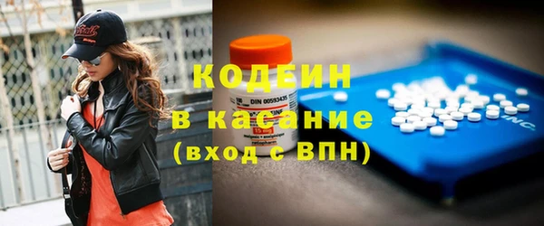 индика Волоколамск