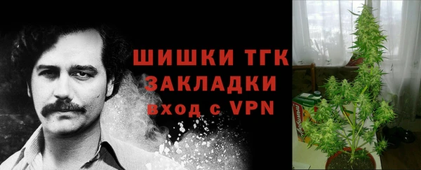 индика Волоколамск