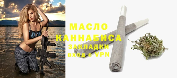 индика Волоколамск