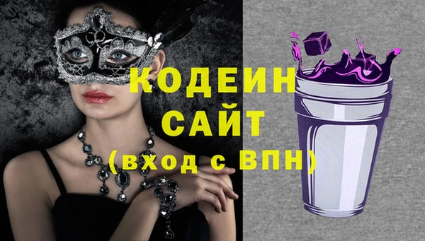 индика Волоколамск
