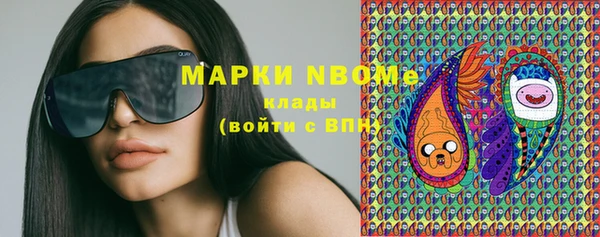 индика Волоколамск