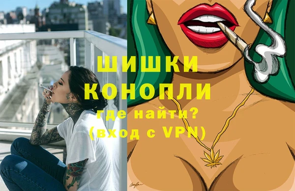 индика Волоколамск
