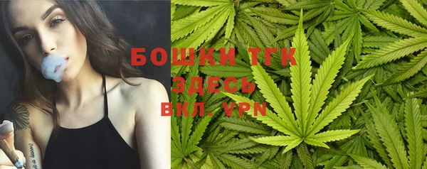 тгк Володарск