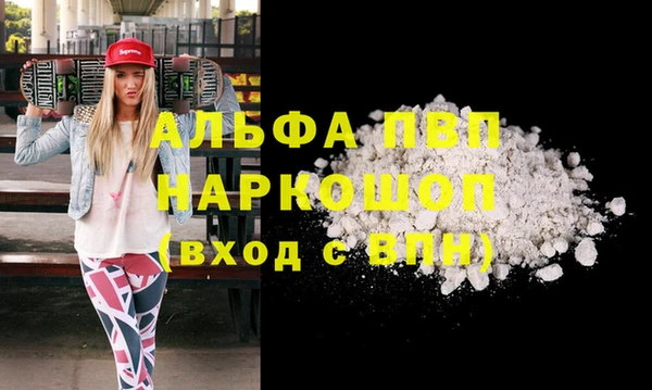 индика Волоколамск