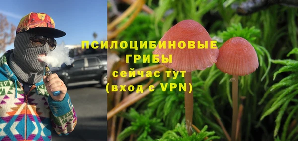 тгк Володарск