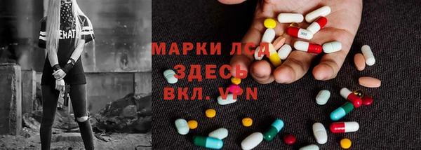 индика Волоколамск
