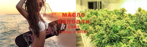 индика Волоколамск