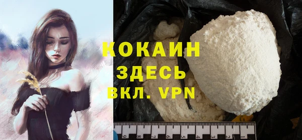 индика Волоколамск