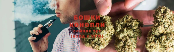 тгк Володарск