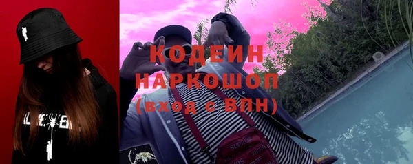 индика Волоколамск