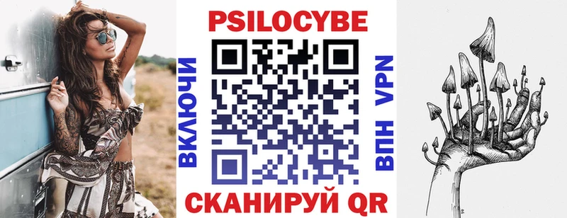закладка hydra рабочий сайт Псилоцибиновые грибы прущие грибы Жуковский